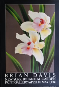 Davis Brian, Cymbidium V, New York Botanical garden, 91x61 cms. 50 (1)