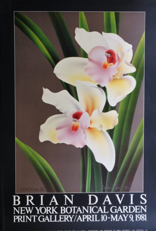 Brian  Davis - "Cymbidium V" cartel original editado por New York Botanical Garden print gallery en 1981
