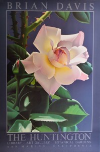 Davis Brian, the Huntington, 91x61 cms. 50 (1)