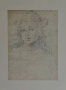 Rafael Sanzio, retrato de hombre joven, 43x31 cms 6 (1)