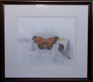 Castillo Jorge, mariposa, técnica mixta papel, firmado 1981 N. York, papel 35x43 cms. y marco 62x71 cms. 1100 (5)