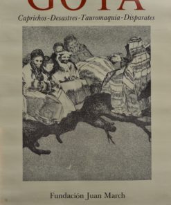 Francisco de Goya - "Caprichos, Desastres, Tauromaquia, Disparates" cartel original exposición en la Fundación Juan March Madrid en 1.979