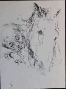 Juan Vicente Barrio, Juanvi, viejo y cabeza de caballo, 40x29 y marco 59x50 360 (1)