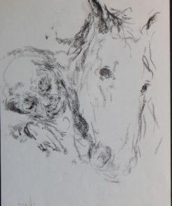 Juan Vicente Barrio, Juanvi - "Viejo y cabeza de caballo" dibujo carboncillo