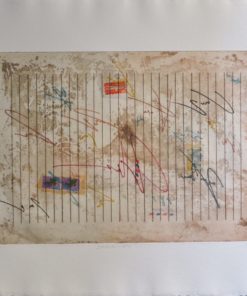 Ma. José Castillo - "Descubrimiento" grabado y collage