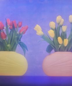 Brent Daniels - "Soft Tulips" cartel original publicado por Art Source Canadá
