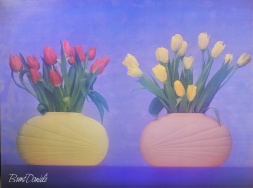 Brent Daniels - "Soft Tulips" cartel original publicado por Art Source Canadá