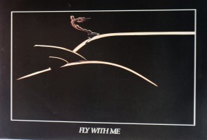 Fly with me,87x60 cms. 33 (3)