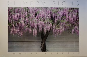 Kaufman Robert, Silvervisions, 61x91 cms. 35 (2)