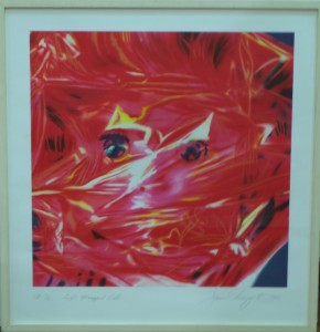 Rosenquist James, Gift Wrapped doll, litografía, titulada fechada y firmada a lápiz, 76x72 cms y papel 79x76 cms. 1800 (1)