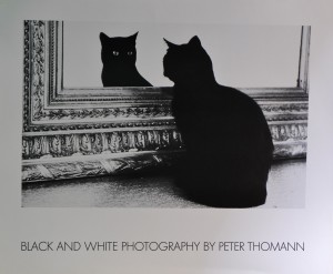 Thomann Peter, Black and white photography, 50x60 cms. 22 (1)