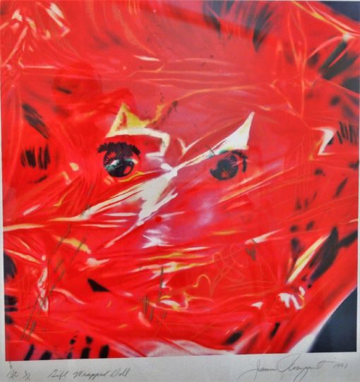 James Rosenquist - "Gift Wrapped doll" litografía, enmarcado