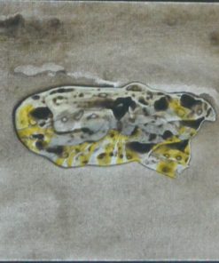 Jorge Castillo - "Mujer acostada" técnica mixta sobre lienzo, enmarcado