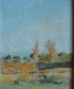 Juan Vicente Barrio, Juanvi - "Paisaje I" oleo tablex