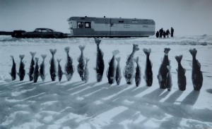 Abercrombie Thomas J., Frozen fish in snow, camper in background, fotografía, edición limitada National Geographic, 43x70 cms. 30 (6)