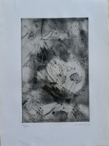 Guinovart Josep, grabado 1980, numerado 43-100 y firmado a lapiz, papel 70x52 cms. y plancha 49,50x32 cms (3)