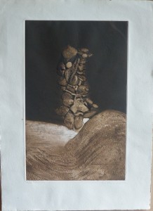 Muñoz Lucio, grabado y gofrado, numerado 46-100 y firmado a lápiz en 1980, papel 77x55 cms. y huella 57x37 cms. 1200 (9)