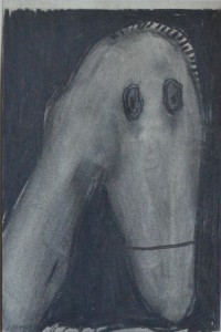 Pagola Javier, Caballo fantasmal, dibujo técnica mixta cartulina, enmarcado, dibujo 30x20 y marco 43x33 cms (8)