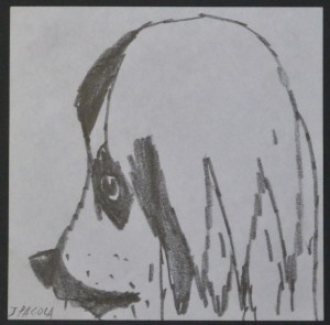 Pagola Javier, cabeza de perro, dibujo lápiz papel, enmarcado, dibujo 9x9 cms. y marco 23x24 cms.  (3)