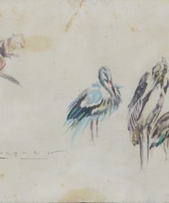 Carlos Becquer - "Ardilla y grullas" dibujo tinta papel, enmarcado