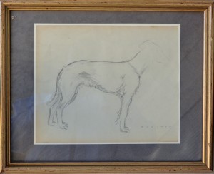 Becquer Carlos, Boceto de perro, lápiz papel, enmarcado, dibujo 221x26 cms. y marco 30x38 cms. 120 (3)