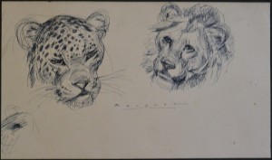 Becquer Carlos, Bocetos de cabezas de fieras, dibujo tinta papel, enmarcado, dibujo 20x33,50 cms. y marco 34,50x51 cms (4)