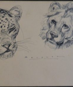 Carlos Becquer - "Bocetos de cabezas de fieras" dibujo tinta papel, enmarcado