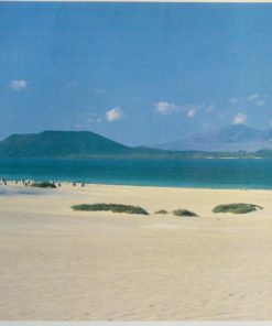 Decoración - "Paisaje playa" cartel