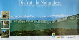 Aragón, disfruta la naturaleza, cartel promoción turística, 68x35 cms (1)