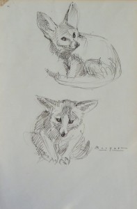 Becquer Carlos, Zorros, dibujo tinta papel, enmarcado, dibujo 24x165 cms. y marco 40x29 cms.  (1)