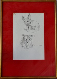 Becquer Carlos, Zorros, dibujo tinta papel, enmarcado, dibujo 24x165 cms. y marco 40x29 cms.  (4)