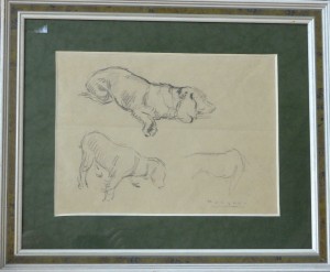 Becquer Carlos, estudio de perros, dibujo lápiz papel, enmarcado, dibujo 18x25 cms. y marco 30x37 cms. 190 (3)