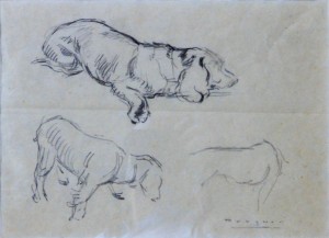 Becquer Carlos, estudio de perros, dibujo lápiz papel, enmarcado, dibujo 18x25 cms. y marco 30x37 cms. 190 (5)
