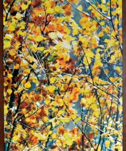 España - "Bosque otoño" cartel promoción turística