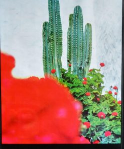 España - "Lanzarote" cartel promoción turística