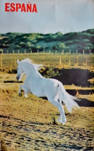 España, caballo blanco, cartel promoción turística, 98x62 cms (2)