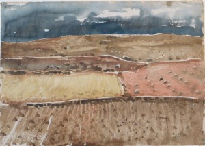 Beulas Jose, paisaje, acuarela papel, enmarcado, dibujo 32x45 cms. y marco 51x60 cms (13)