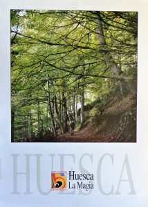 Huesca, Bosque y senderismo, cartel promoción turística, 70x50 cms (1)