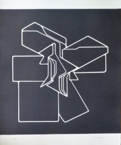 Pablo Palazuelo - "Bloom" grabado aguafuerte y aguatinta, 30º aniversario fundación Juan March