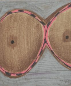 Javier Pagola - "Un par de senos" dibujo técnica mixta papel, enmarcado