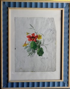 Alcayde Julia, Estudios de plantas, lapiz y acuarela papel, enmarcado, dibujo 30x23 cms. y marco 48,50x38,50 cms.  (11) 300
