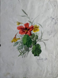 Alcayde Julia, Estudios de plantas, lapiz y acuarela papel, enmarcado, dibujo 30x23 cms. y marco 48,50x38,50 cms. (8) 300