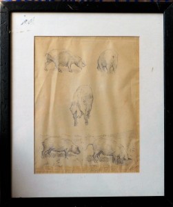 Jimenez Francisco, Estudios de cerdos, dibujo lápiz papel, enmarcado, dibujo 26x20 cms. y marco 39x33 cms. 190 (2)