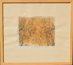 Pizarro Roberto L. Jardín botánico en otoño, dibujo lápiz y café aguado papel, enmarcado, dibujo 22x27 cms. y marco 46x51 cms.  (7)