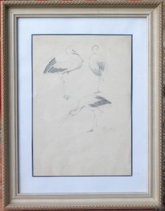seiquer-alejandro-bocetos-de-aves-dibujo-lapiz-papel-enmarcado-dibujo-31x2150-y-marco-45x35-cms-2
