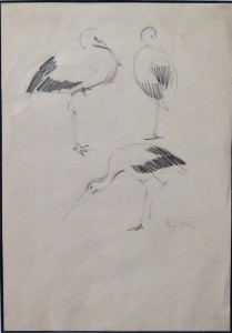 seiquer-alejandro-bocetos-de-aves-dibujo-lapiz-papel-enmarcado-dibujo-31x2150-y-marco-45x35-cms-3