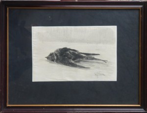 Seiquer Alejandro, Pájaro muerto, dibujo carboncillo papel, enmarcado, dibujo 16x24 cms. y marco 33x42 cms.  (6)