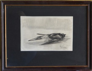Seiquer Alejandro, pájaro muerto, dibujo carboncillo papel, enmarcado, dibujo 15,50x23,50 y marco 33x42,50 cms. 190 (5)
