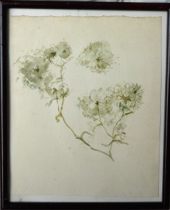 Alcayde Julia, plantas, dibujo acuarela papel, enmarcado, dibujo 25,50x20,50 cms. y marco 29x24 cms. (1)