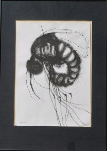 Hernandez José 1964, Insecto, dibujo acrílico y tinta china papel, enmarcado, dibujo 47x34 cms. y marco 70x50 cms (17) 250